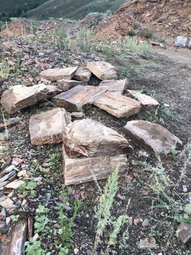 Плитняк кора дерева 50-100мм для пошаговых дорожек купить в Анапе